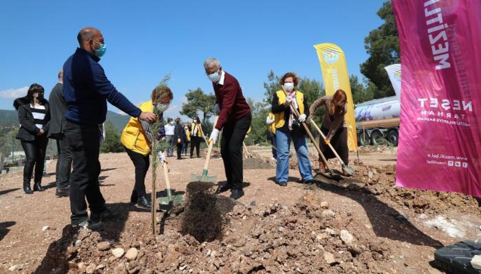 MEZİTLİ’DE 62’NCİ JAKARANDA KORULUĞU MERHUM DR. YILMAZ ADINA OLUŞTURULDU