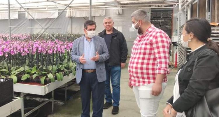 TARSUS’TA 20 MİLYON ADET İÇ VE DIŞ MEKAN BİTKİSİ ÜRETİLİYOR