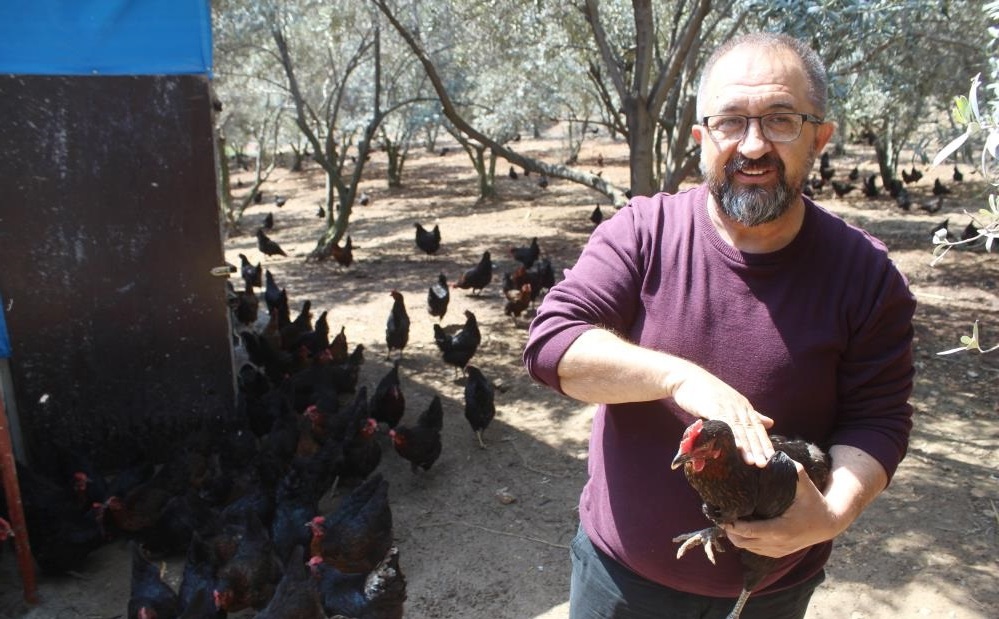 HOBİ OLARAK BAŞLADI, GÜNDE 600 YUMURTA ÜRETİYOR