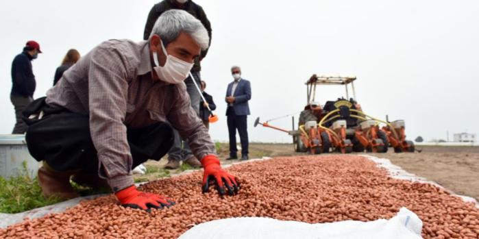 TARSUS’TA YERLİ TOHUM ÜRETİMİ YAYGINLAŞTIRILIYOR