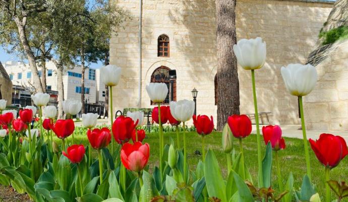 LAAL PAŞA CAMİİ’NE PEYZAJ VE ÇEVRE DÜZENLEMESİ