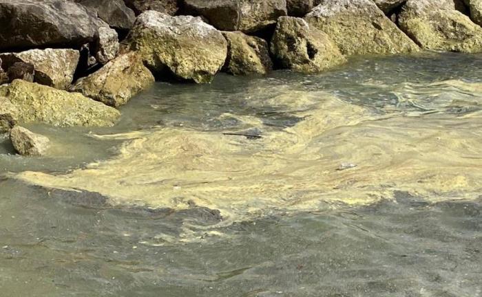 BÜYÜKŞEHİR AÇIKLAMA YAPTI: KORKMAYIN!