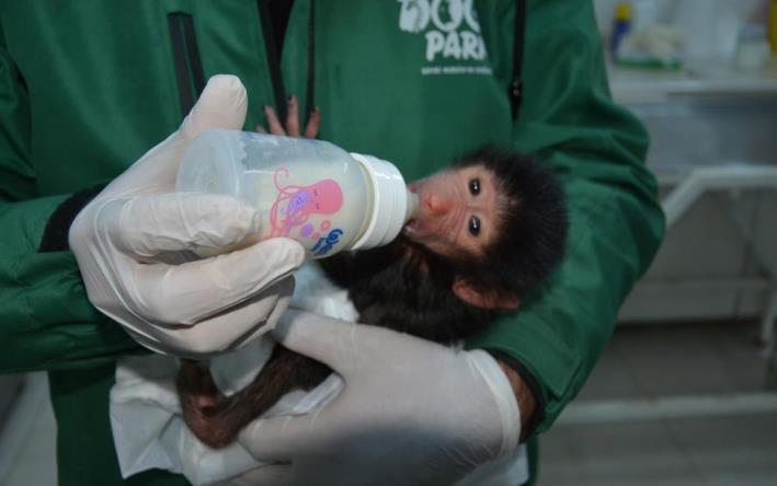 ANNELERİ TARAFINDAN REDDEDİLEN YAVRULAR KORUMA ALTINA ALINDI