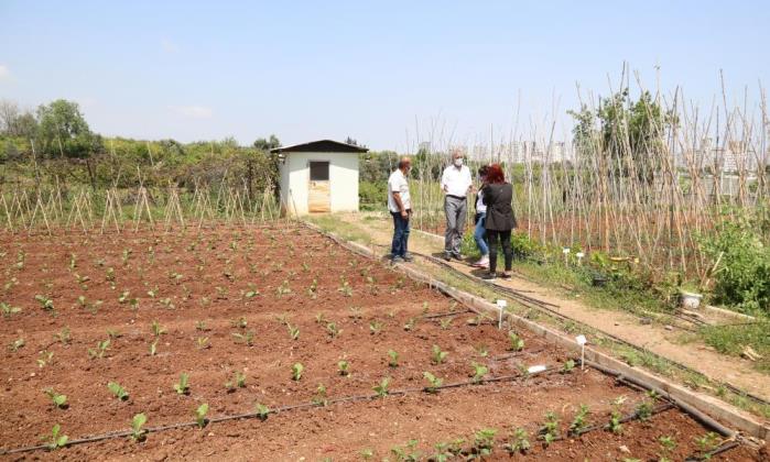 BAŞKAN TARHAN, GÖNÜLLÜ SERASINDA ÜRETİCİLERLE BULUŞTU
