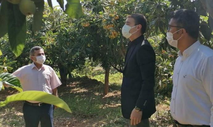 AYDINCIK’TA YENİDÜNYA ÇİFTÇİLERİN YÜZÜNÜ GÜLDÜRDÜ