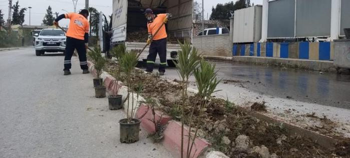 REFÜJLERE BODUR BİTKİ DİKİLİYOR