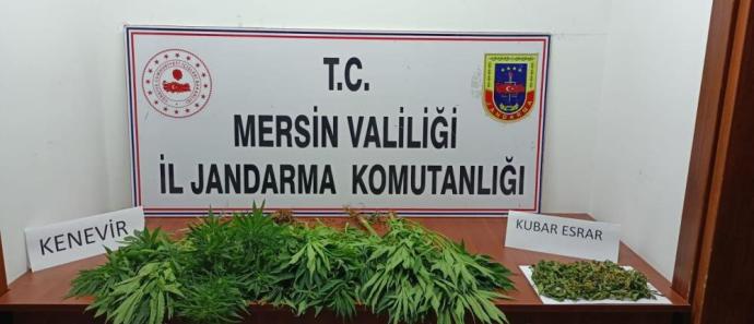 MERSİN’DE UYUŞTURUCU OPERASYONU: 7 GÖZALTI