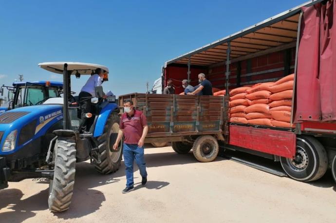 SİLİFKE’DE ÇELTİK ÜRETİCİSİNE TOHUM DESTEĞİ
