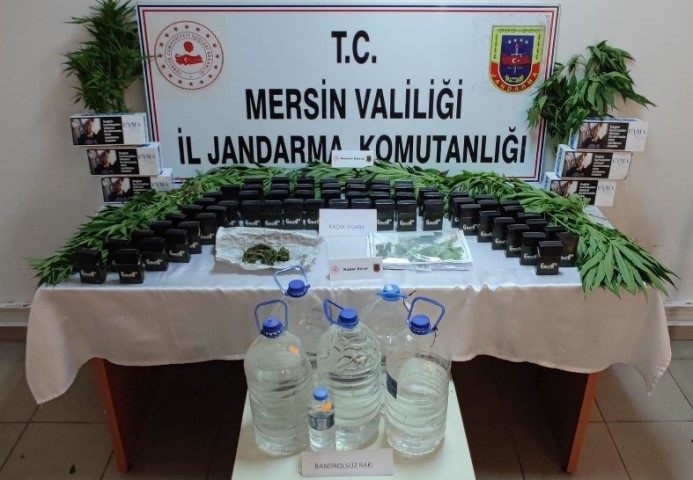 MERSİN’DE 85 KÖK KENEVİR BİTKİSİ ELE GEÇİRİLDİ