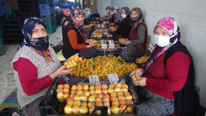 SEMT PAZARLARINA İKİ GÜN İZİN VERİLDİ HALLER HAREKETLENDİ
