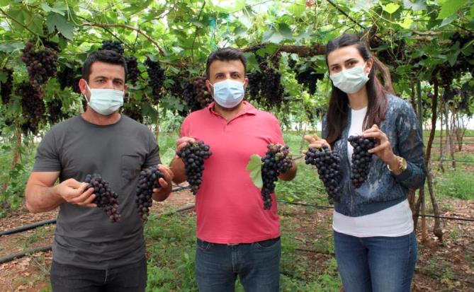 AKDENİZ’İN SİYAH İNCİSİ YÜZLERİ GÜLDÜRÜYOR