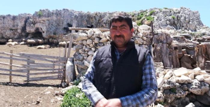 MERSİN’DE KURTLARIN SALDIRISINA UĞRAYAN 70 KÜÇÜKBAŞ HAYVAN TELEF OLDU