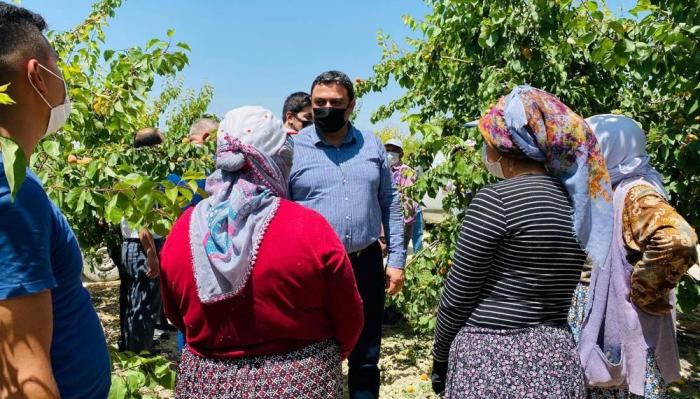 KAYISI ÜRETİCİSİNİ GÜLDÜRÜYOR