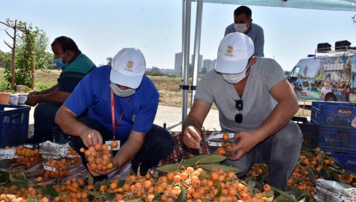 TARSUS BELEDİYESİ, 12 TON YENİDÜNYAYI VATANDAŞLARA ÜCRETSİZ DAĞITTI