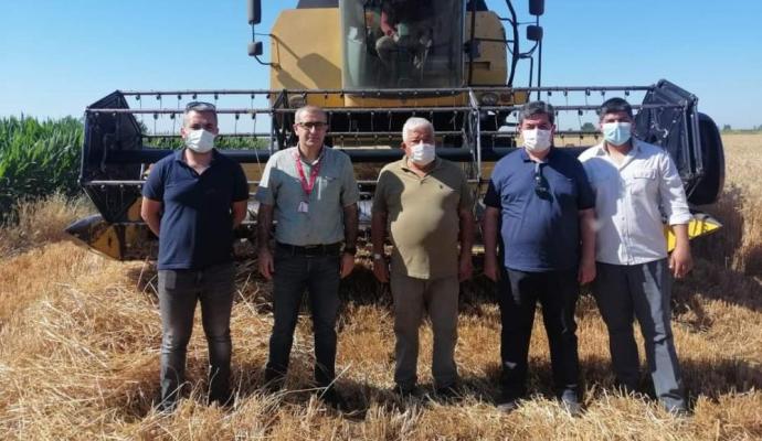 TARSUS’TA YERLİ TOHUM EKİMİ YAPILAN BUĞDAY ÇEŞİTLERİ HASAT EDİLDİ