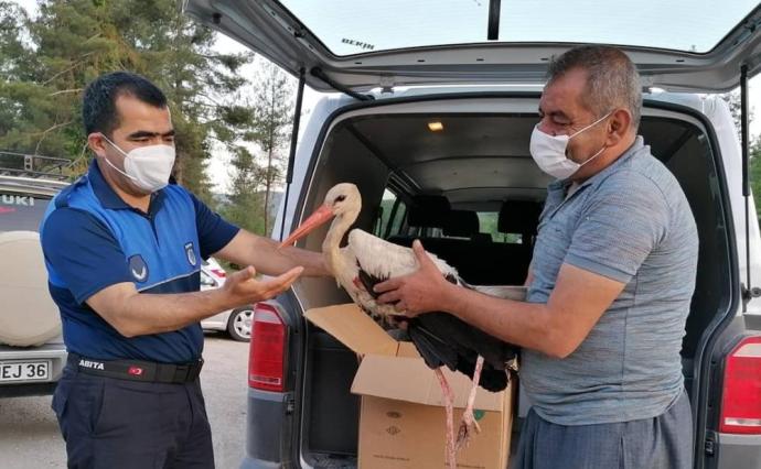 YARALI LEYLEK HAYVANAT BAHÇESİNE TESLİM EDİLDİ