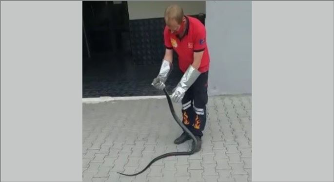 SİTE BAHÇESİNE GİREN YILAN YAKALANARAK DOĞAYA SALINDI