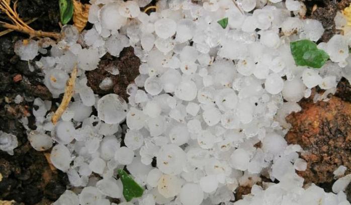 MERSİN’DE DOLU YAĞIŞI SEBZE VE MEYVEYİ VURDU