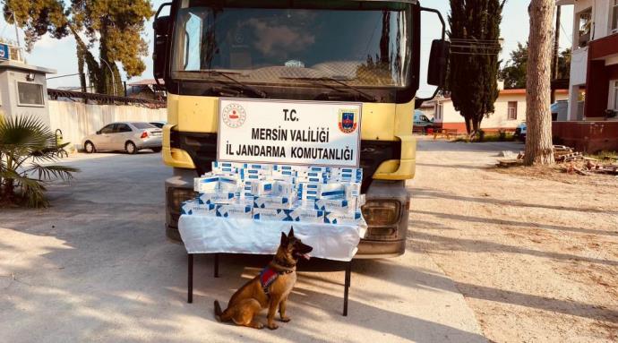 JANDARMA 2 BİN PAKET KAÇAK SİGARA ELE GEÇİRDİ