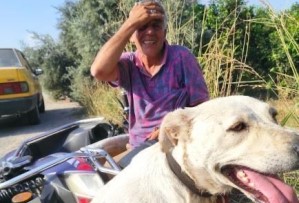 KÖPEĞİ MOTORSİKLETE BAĞLAYIP İŞKENCE EDEN CANİ YAKALANDI