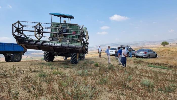 TARSUS’TA KARABUĞDAY HASADI