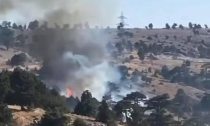 MERSİN’DE ORMAN YANGINI BÜYÜMEDEN SÖNDÜRÜLDÜ