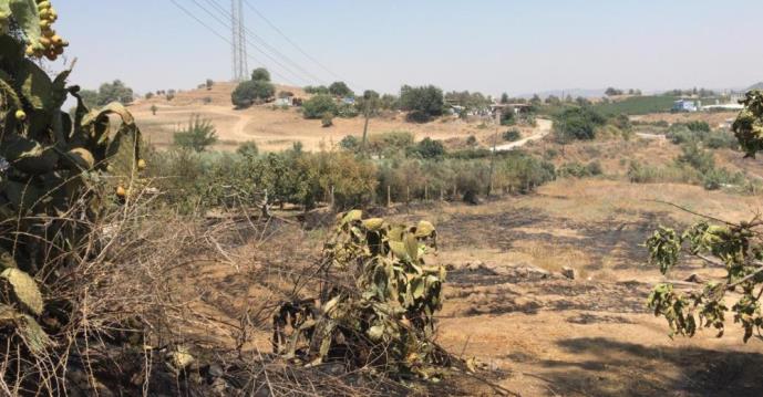 TARSUS’TA BAHÇEDEKİ YANGINDA 43 AĞAÇ ZARAR GÖRDÜ