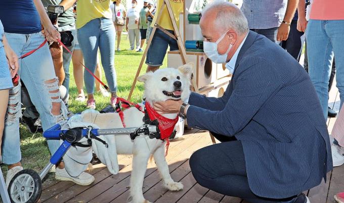 MERSİNLİLER, SOKAK HAYVANLARI YARARINA DÜZENLENEN PANAYIRDA BULUŞTU