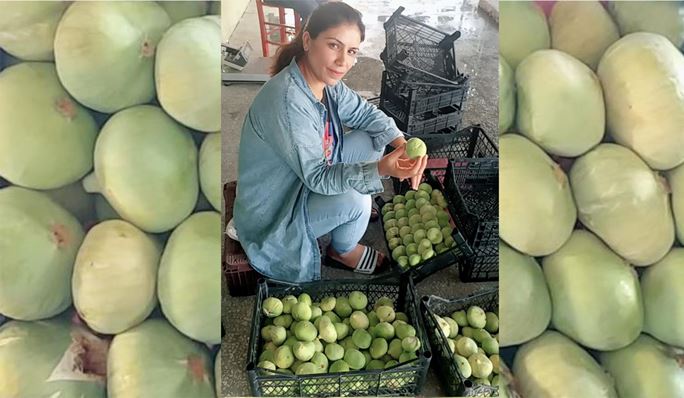 MERSİN’DE İNCİRİN KİLOSU 20 LİRADAN ALICI BULDU