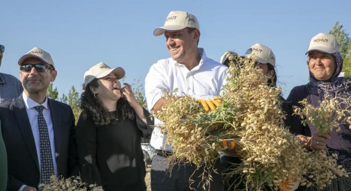 ATALIK GÜLNAR NOHUDUNUN İLK HASADI, BAŞKAN SEÇER’İN KATILIMIYLA YAPILDI