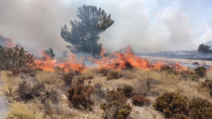 SEKA’DA ÇIKAN YANGIN KORKUTTU