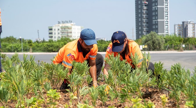 4. ÇEVRE YOLU’NA 7 BİN 500 BİTKİ DİKİLECEK