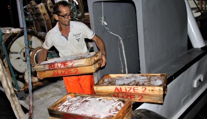 AKDENİZ’DEN BALIKÇILAR İLK AVLARI İLE DÖNMEYE BAŞLADI