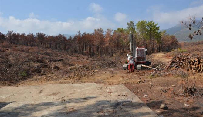 MERSİN’DE YANAN ORMANLIK ALANLAR AĞAÇLANDIRILACAK