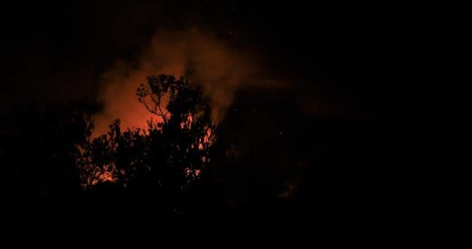 MERSİN’DE KORKUTAN ORMAN YANGINI