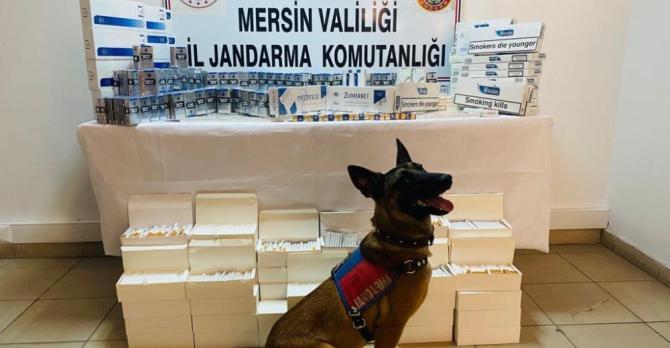 MERSİN’DE KAÇAK SİGARA OPERASYONU: 4 GÖZALTI