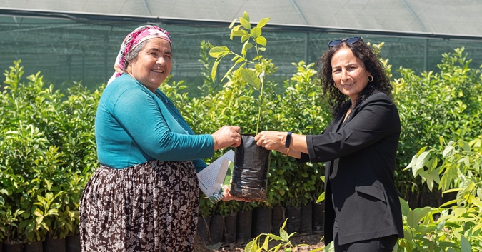 BÜYÜKŞEHİR BELEDİYESİ ÇİFTÇİLERE 4 BİN 40 ADET AVOKADO FİDANI DAĞITTI