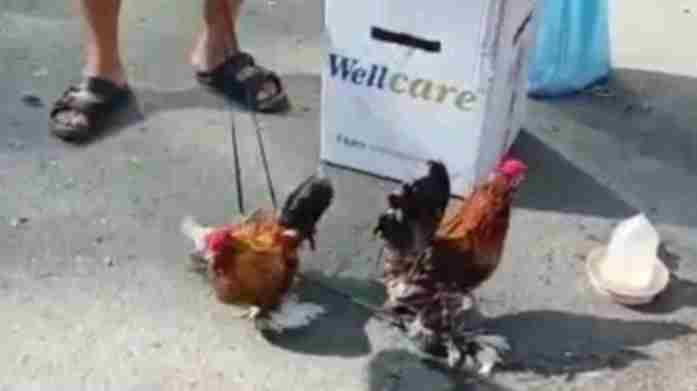 MERSİN BAROSU, KUŞ PAZARINDAKİ HAK İHLALLERİ İÇİN HAREKETE GEÇTİ