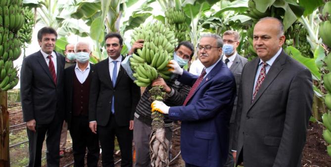 Muzda 6 çeşit tescillenecek