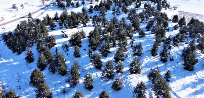 Mersin’de kar, kartpostallık görüntüler oluşturdu