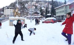 Mersinlilerin kar sevinci