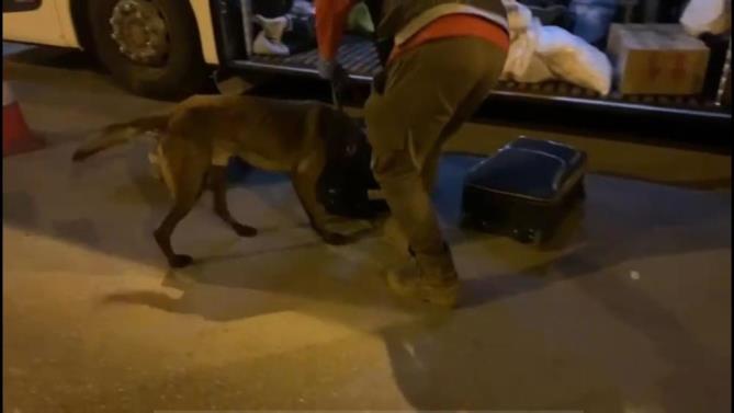 Brego, uyuşturucuya geçit vermedi