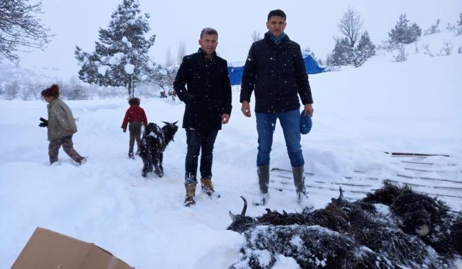 Mersin’de kardan çöken ahırdaki 21 küçükbaş hayvan telef oldu