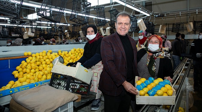 Başkan Seçer: Limon Dalında Kaldı, Üretici S.O.S. veriyor