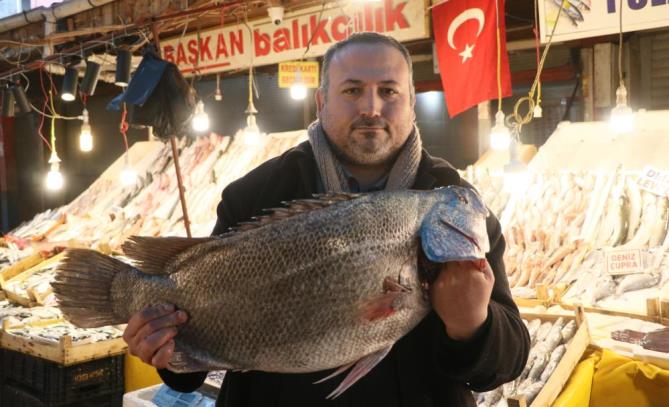 Balığın kulağına kar suyu kaçtı!