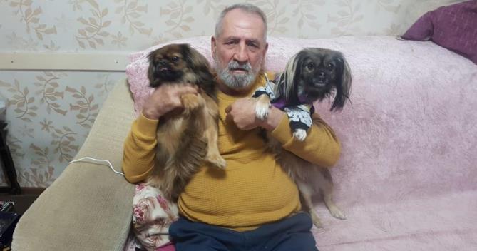 Her yerde kaybolan köpeklerini arıyorlar