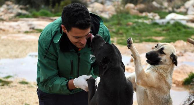 Mersin Büyükşehir Belediyesi gönüllü hayvanseverlerle ele ele