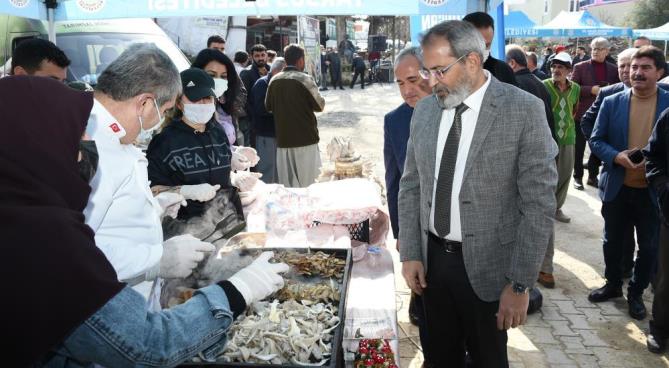 Tarsus Belediyesi, üreticilere 40 bin adet yerli fide dağıttı