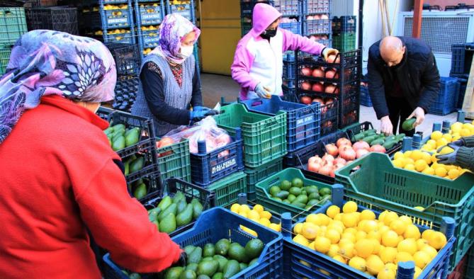 Mersin’den Avrupa’ya nar, limon ve avokado ihracatı