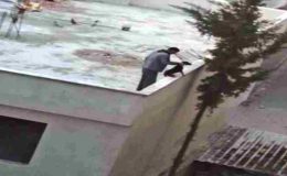 Mersin’de köpeğe kan donduran işkence